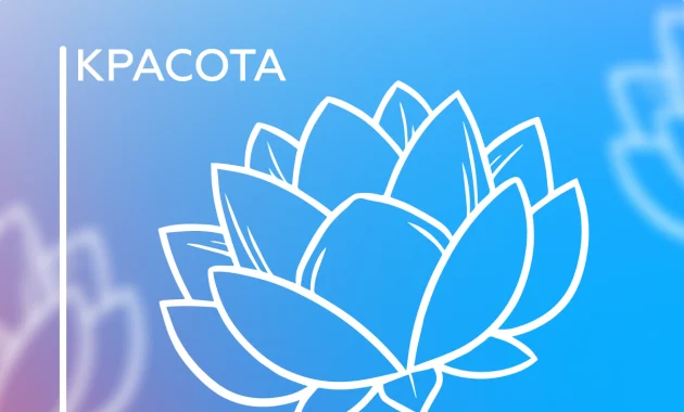 Академия моделей Академия моделей