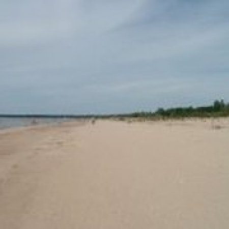 Фёдор Филимонов