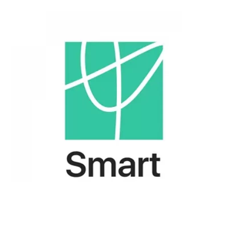 Онлайн-институт Smart