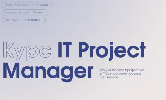 IT Project Manager