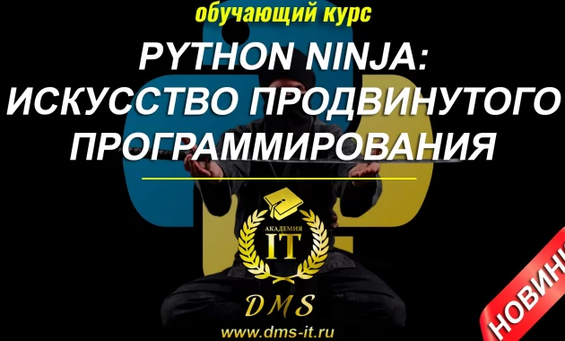 Python Ninja: Искусство Продвинутого Программирования