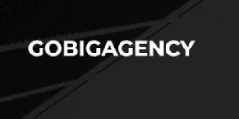 GOBIGAGENCY